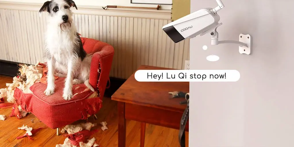 An Easy Way to Monitor your pets while you are away!