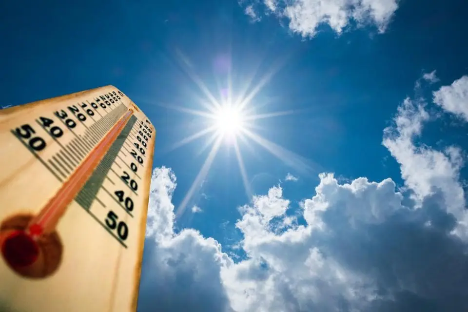 The Importance of Temperature Alerts